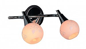 Светильник спот Leiston OML-21501-02