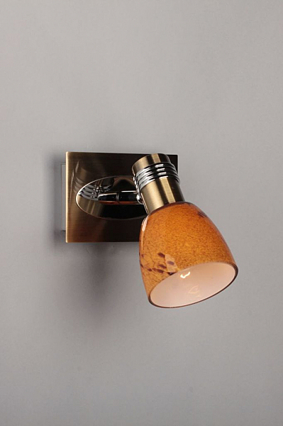 Светильник спот Malton OML-22001-01