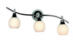 Светильник спот Nehaven OML-22401-03