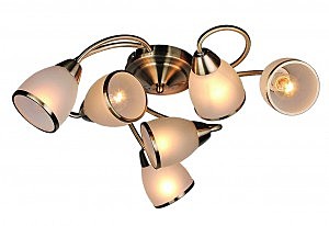 Потолочная люстра Bassigny OML-35927-06