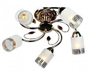 Потолочная люстра Valromey OML-36817-05