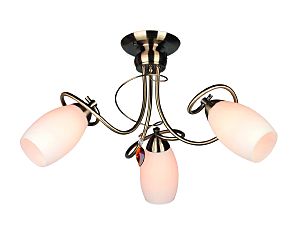 Потолочная люстра Perthois OML-37227-03