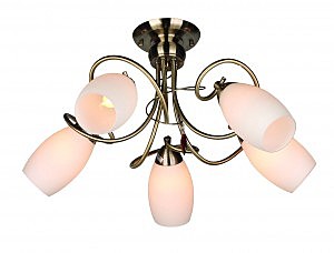 Потолочная люстра Perthois OML-37227-05