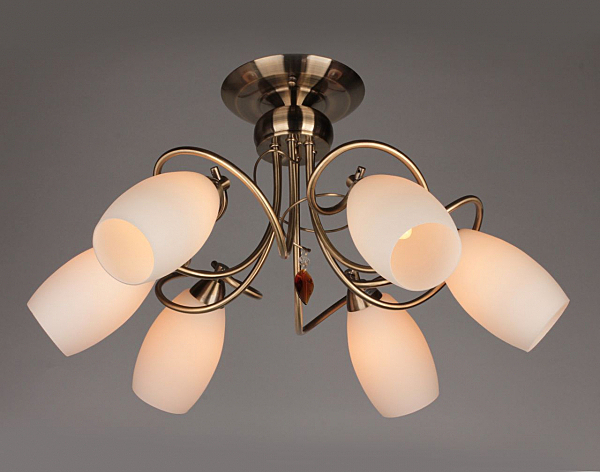 Потолочная люстра Perthois OML-37227-06