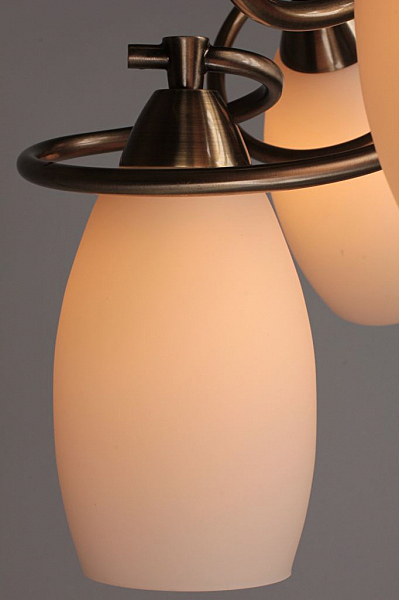 Потолочная люстра Perthois OML-37227-06