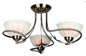 Потолочная люстра Rhemois OML-37507-03