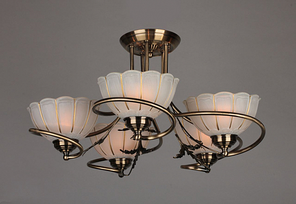 Потолочная люстра Rhemois OML-37507-05