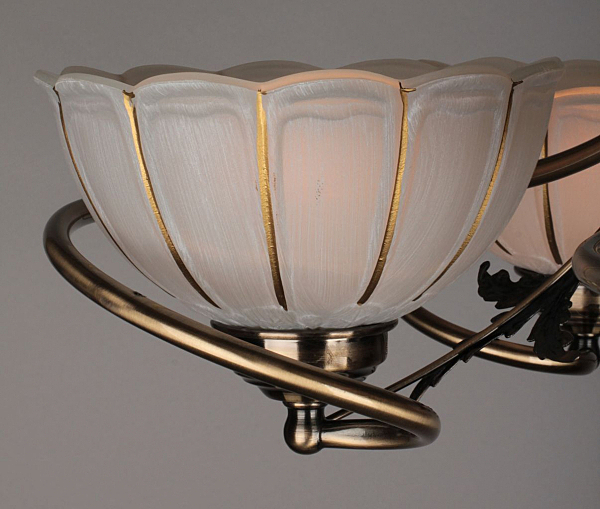 Потолочная люстра Rhemois OML-37507-05