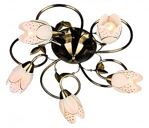 Потолочная люстра Vallage OML-37907-05