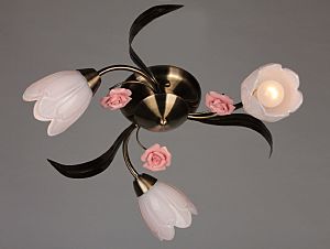 Потолочная люстра Champsaur OML-38507-03