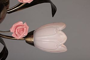 Потолочная люстра Champsaur OML-38507-05