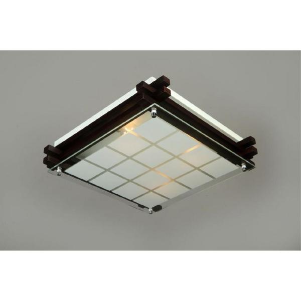 Настенно потолочный светильник Carvalhos OML-40507-04