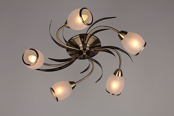 Потолочная люстра Auxois OML-35827-05