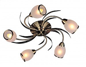 Потолочная люстра Auxois OML-35827-05