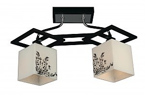 Потолочная люстра Donnezan OML-39107-02