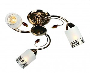 Потолочная люстра Valromey OML-36817-03