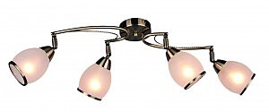 Потолочная люстра Autunois OML-35121-04