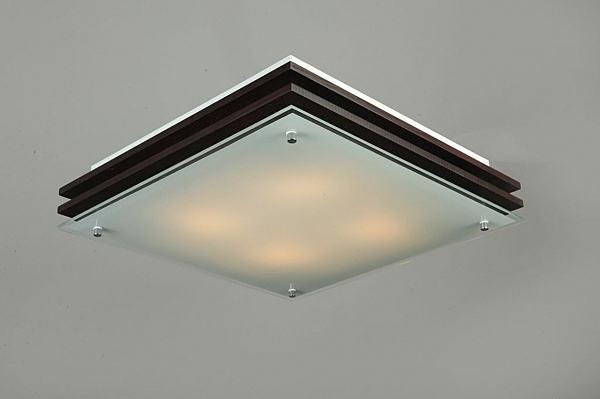 Настенно потолочный светильник Caldelas OML-40207-04