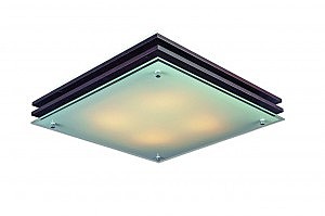 Настенно потолочный светильник Caldelas OML-40207-04