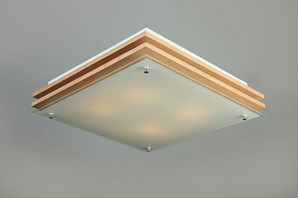 Настенно потолочный светильник Caldelas OML-40217-04