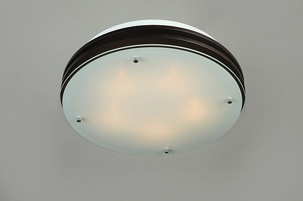 Настенно потолочный светильник Caminha OML-40307-05