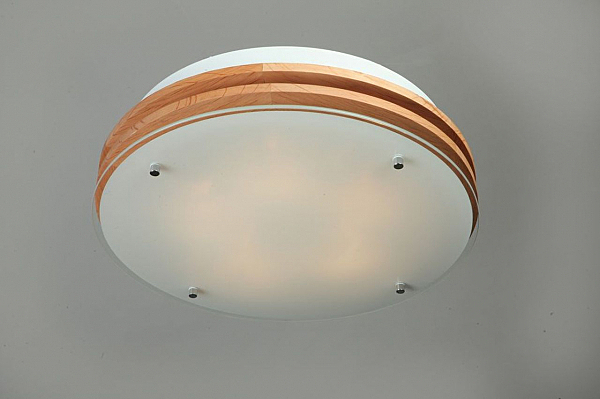 Настенно потолочный светильник Caminha OML-40317-05