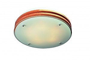 Настенно потолочный светильник Caminha OML-40317-05