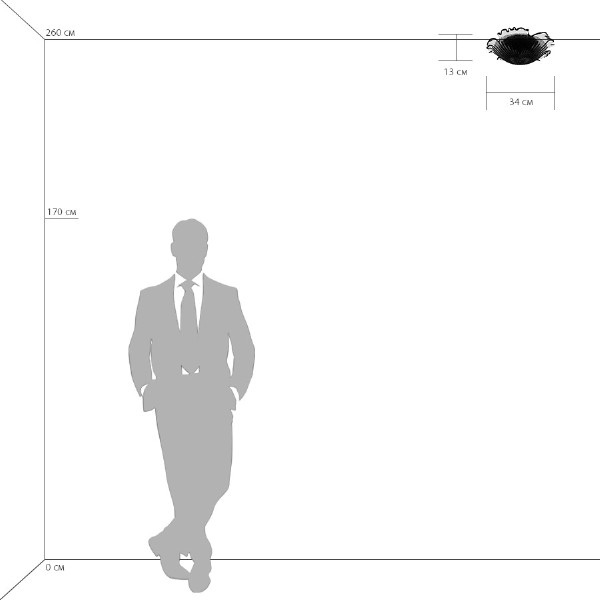 Потолочная люстра Murano 601030