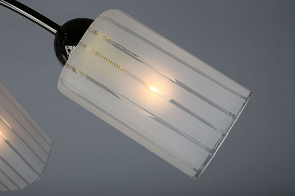 Потолочная люстра Bigorre OML-39807-05