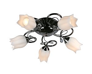 Потолочная люстра OML-397 OML-39707-05