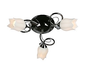 Потолочная люстра OML-397 OML-39707-03