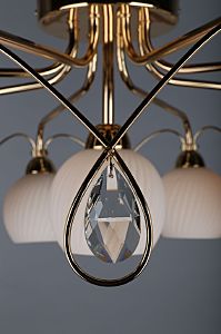 Потолочная люстра Aunis OML-31907-09