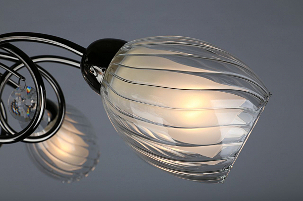 Потолочная люстра Anjou OML-31607-08