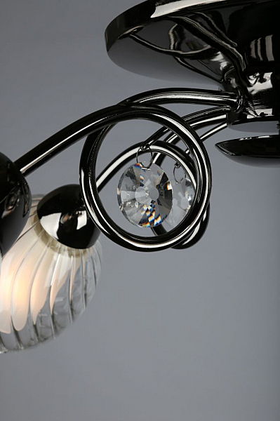 Потолочная люстра Anjou OML-31607-05