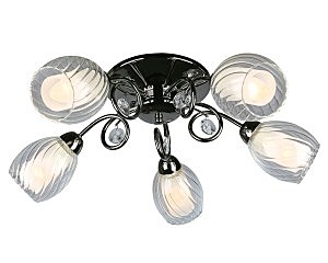 Потолочная люстра Anjou OML-31607-05