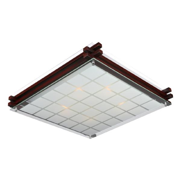 Настенно потолочный светильник Carvalhos OML-40507-05