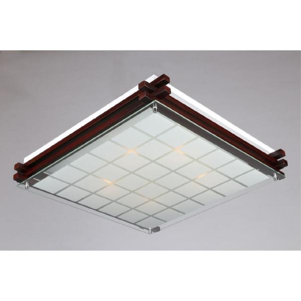 Настенно потолочный светильник Carvalhos OML-40507-05