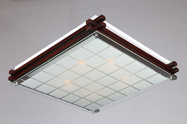 Настенно потолочный светильник Carvalhos OML-40507-05