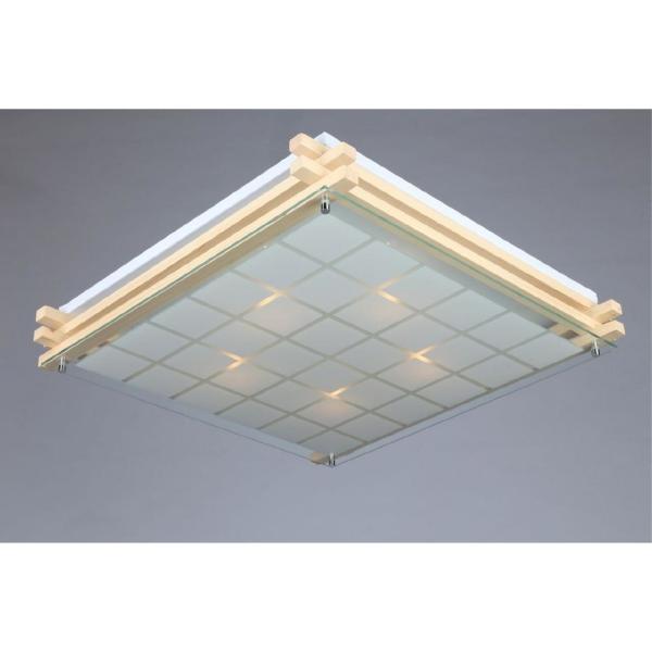 Настенно потолочный светильник Carvalhos OML-40517-05