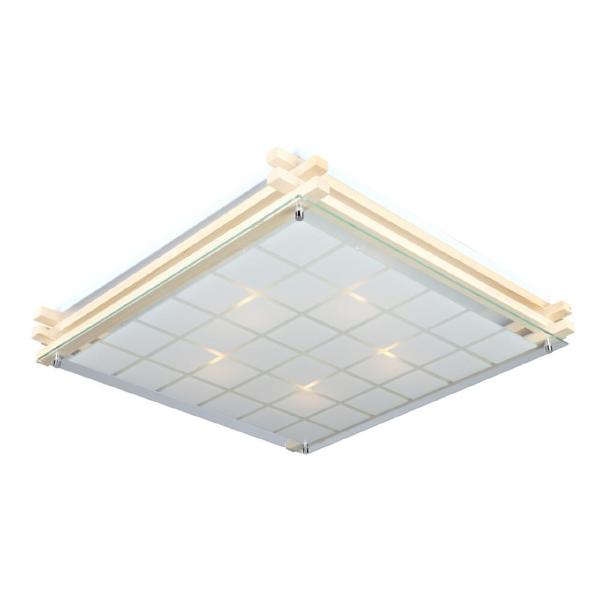 Настенно потолочный светильник Carvalhos OML-40517-05