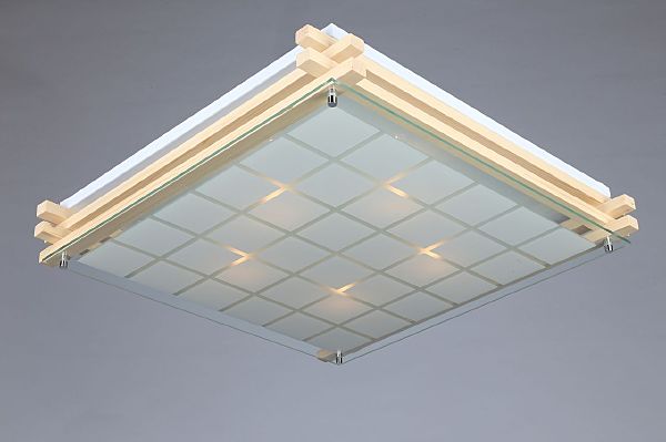 Настенно потолочный светильник Carvalhos OML-40517-05