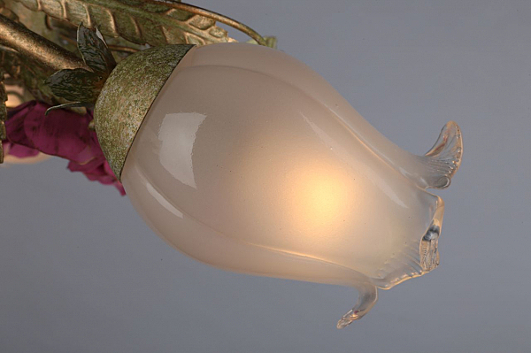 Потолочная люстра Monza OML-61307-05