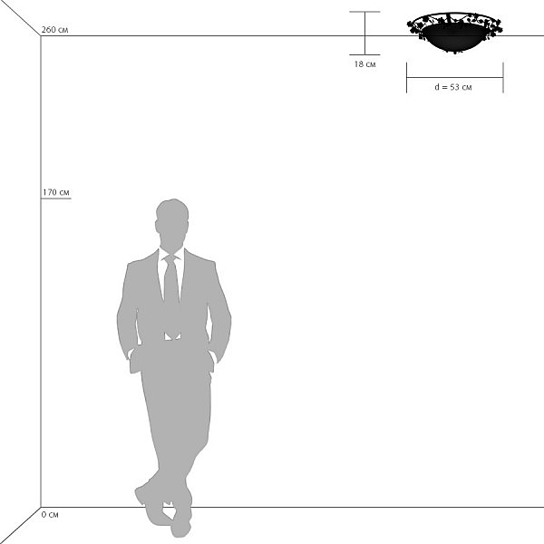 Светильник потолочный Aiola 785530