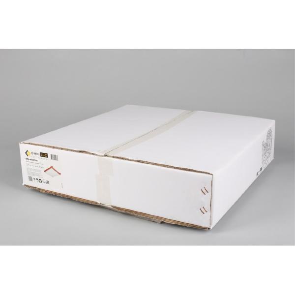 Настенно потолочный светильник Carvalhos OML-40527-05