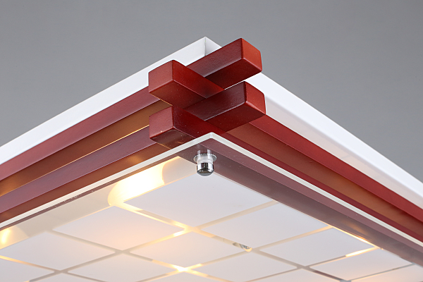 Настенно потолочный светильник Carvalhos OML-40527-05