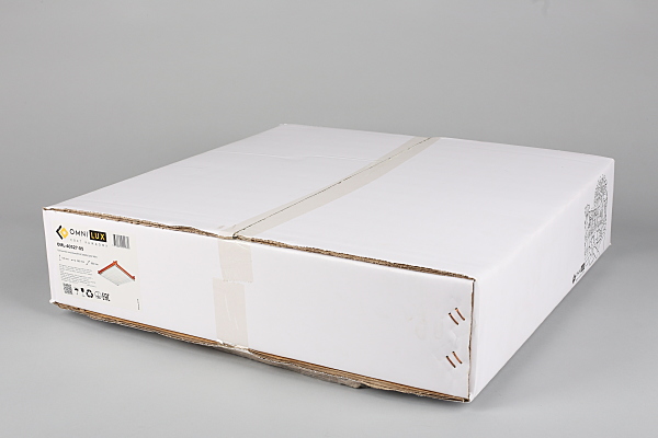 Настенно потолочный светильник Carvalhos OML-40527-05