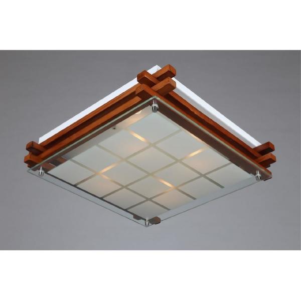 Настенно потолочный светильник Carvalhos OML-40527-04