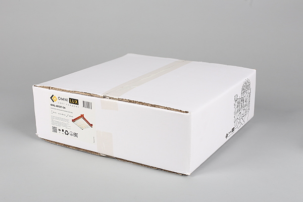 Настенно потолочный светильник Carvalhos OML-40527-04