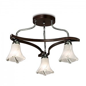 Потолочная люстра Iwo 2237/3C