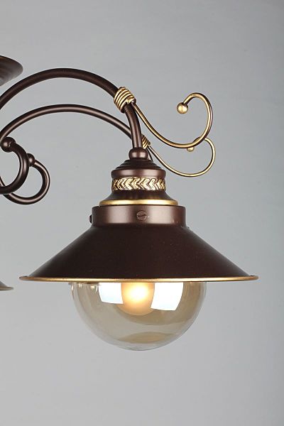 Потолочная люстра Fontelo OML-50407-05